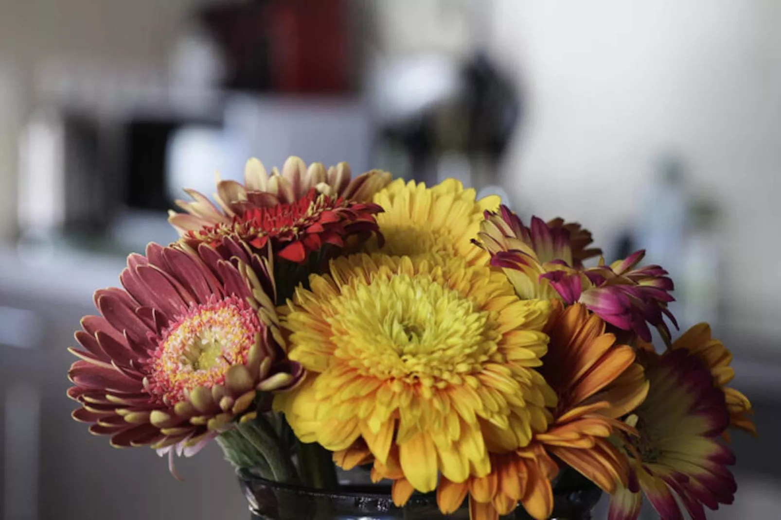 Appartements à La Rochelle-Untagged