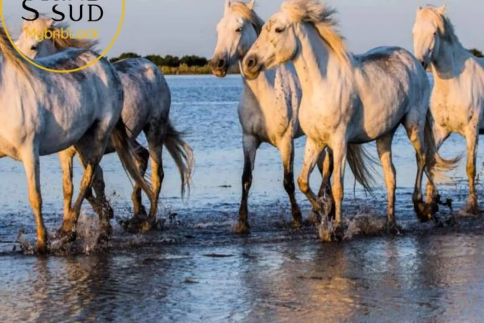 Résidence Le Reflet Des Mers - P3 Premi&egrave;re Ligne Vue Mer Et Parking-Non tagué