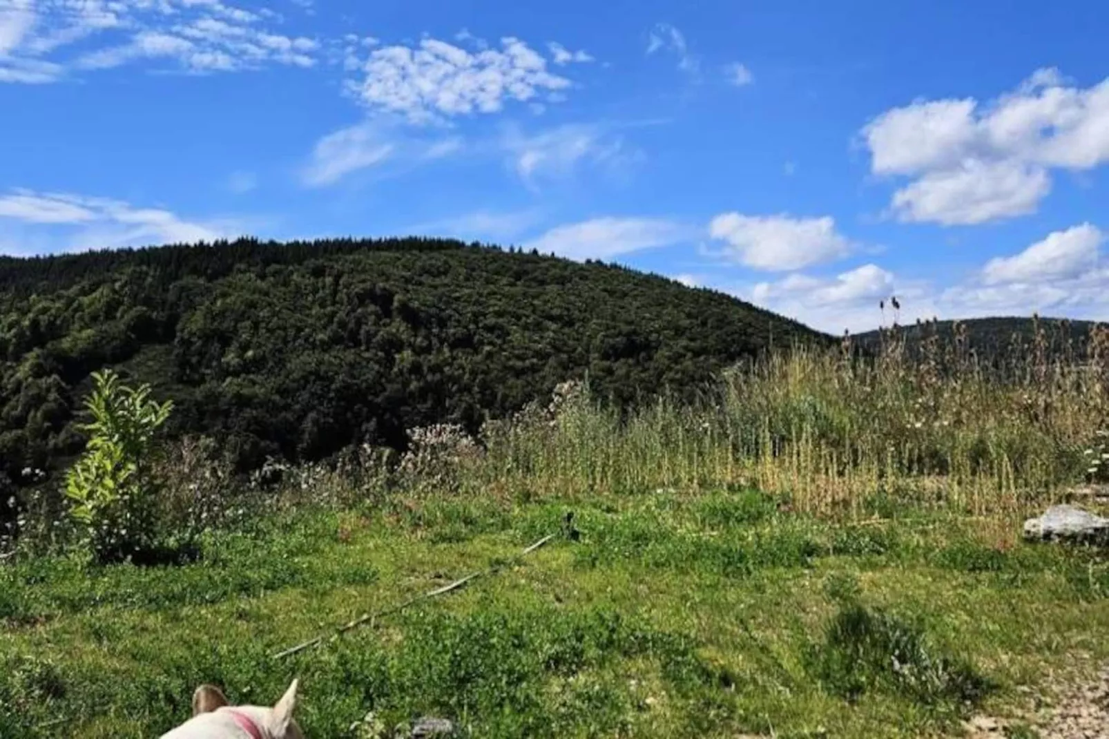 Gîte La cabane d'antoine-Untagged