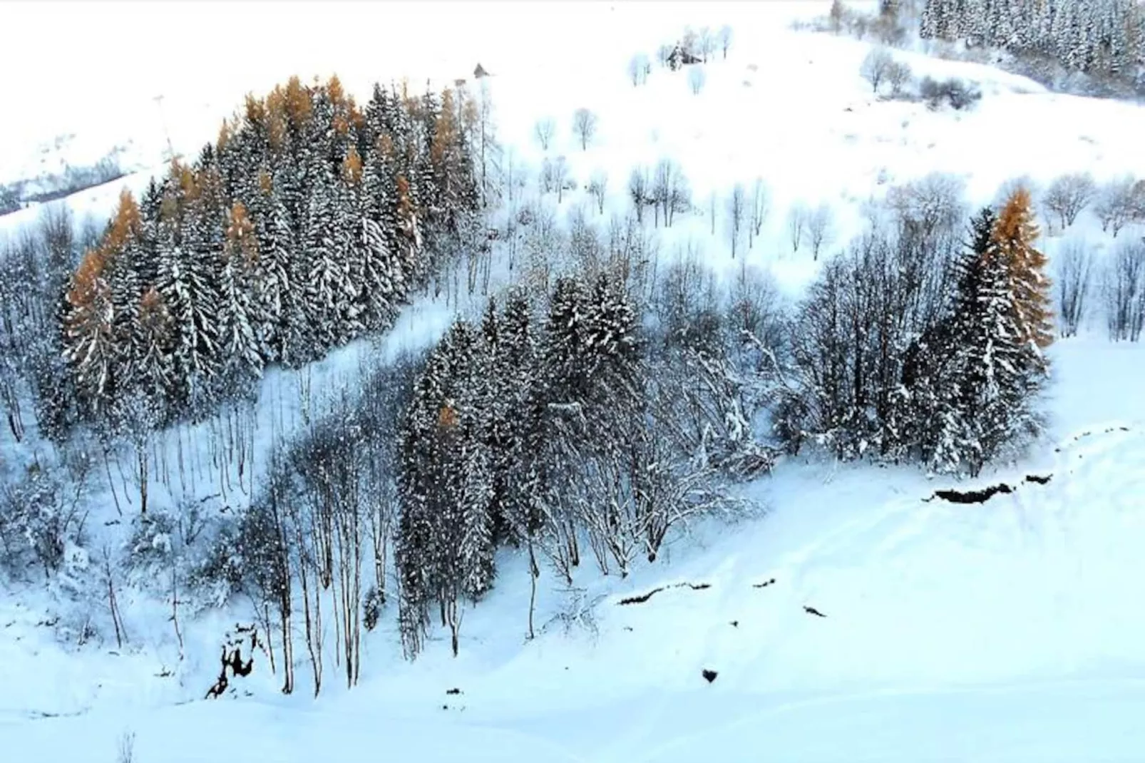 Résidence Vostok-Non tagué