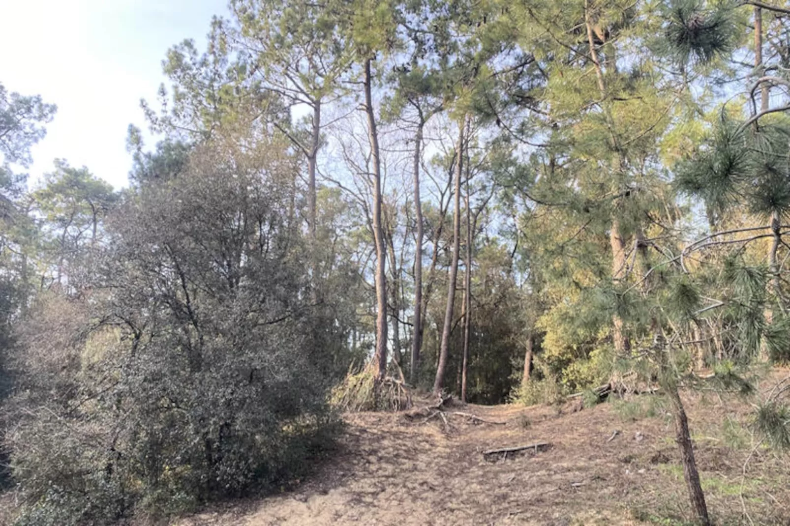 Maison à Les Sables d'Olonne-Non tagué