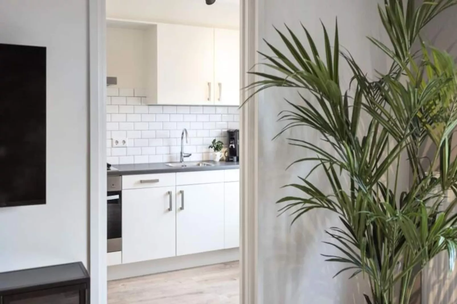 The Beach & Town Suite-Untagged