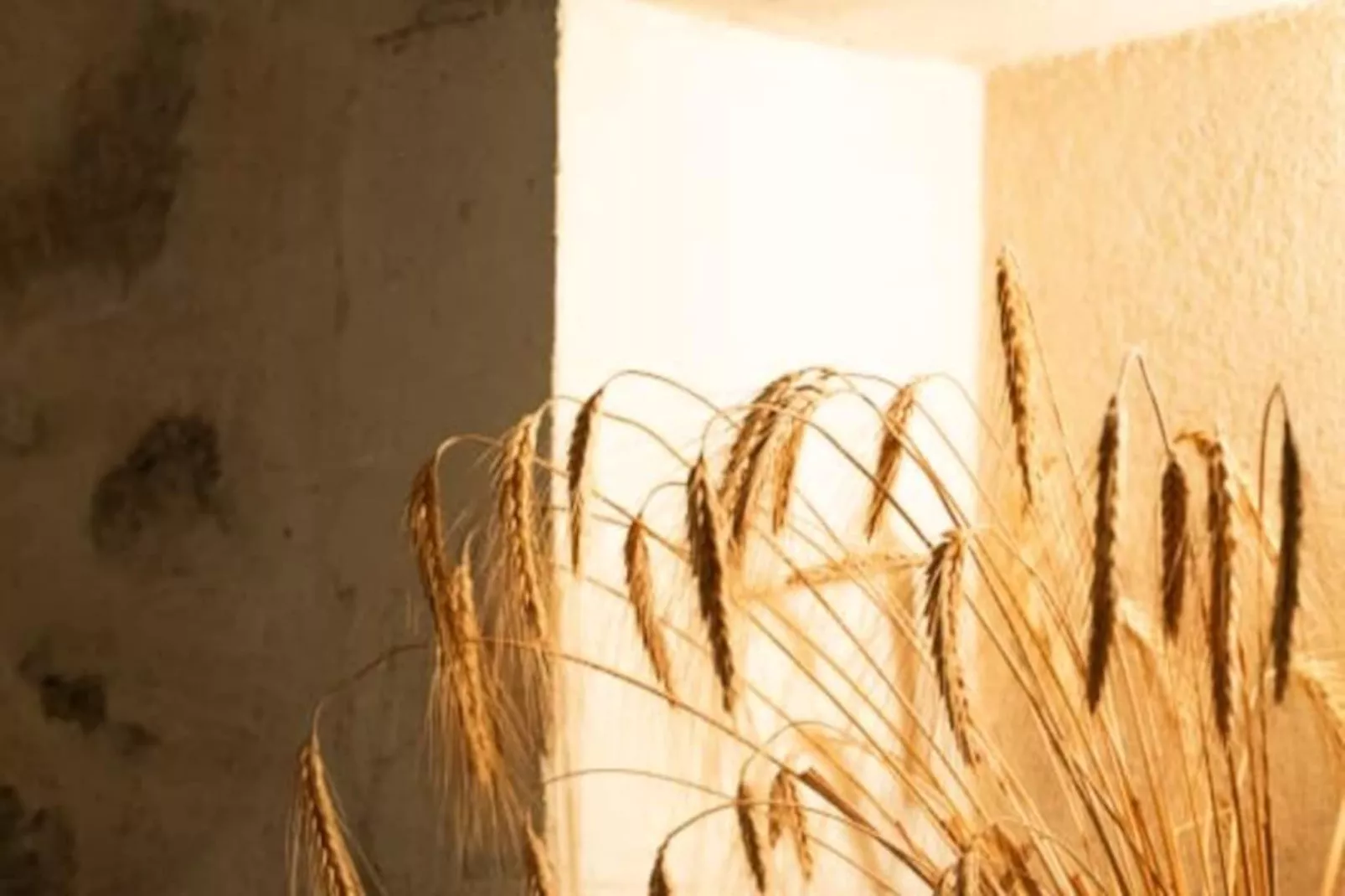 Mas De Th&eacute;s&eacute;e | Piscine & 12 Ha Priv&eacute;s-Non tagué