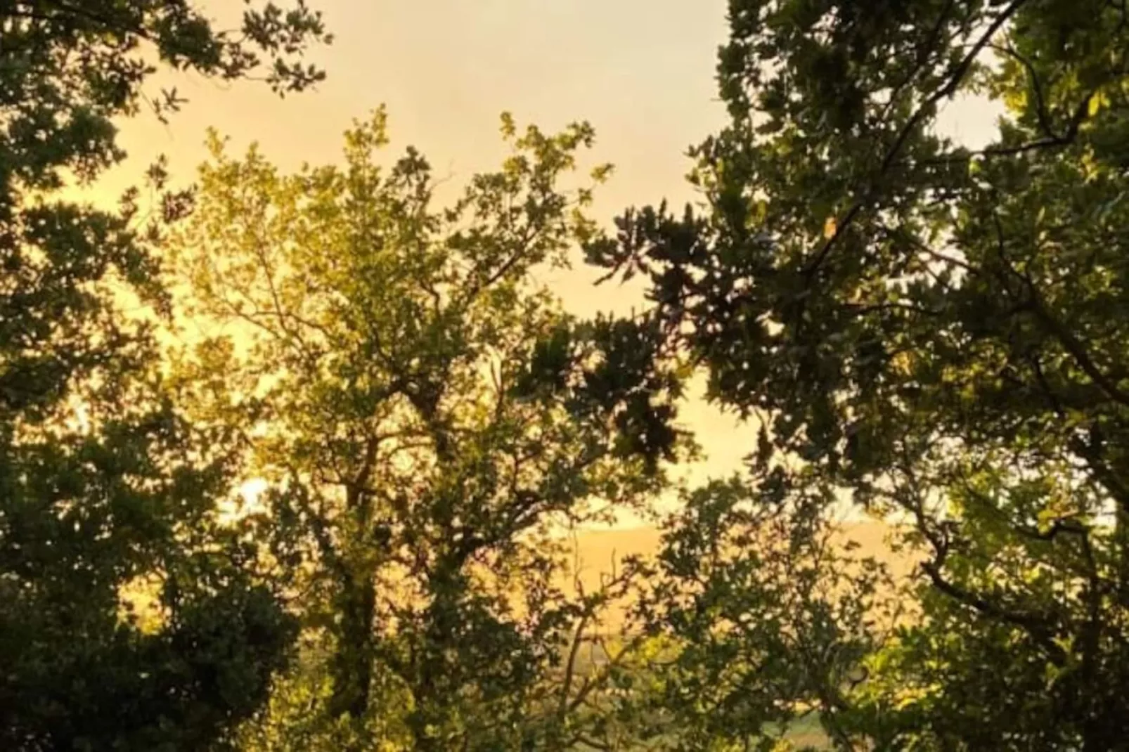 Cabane D&rsquo;ismou | Piscine & Design Bois-Nicht zugeordnet