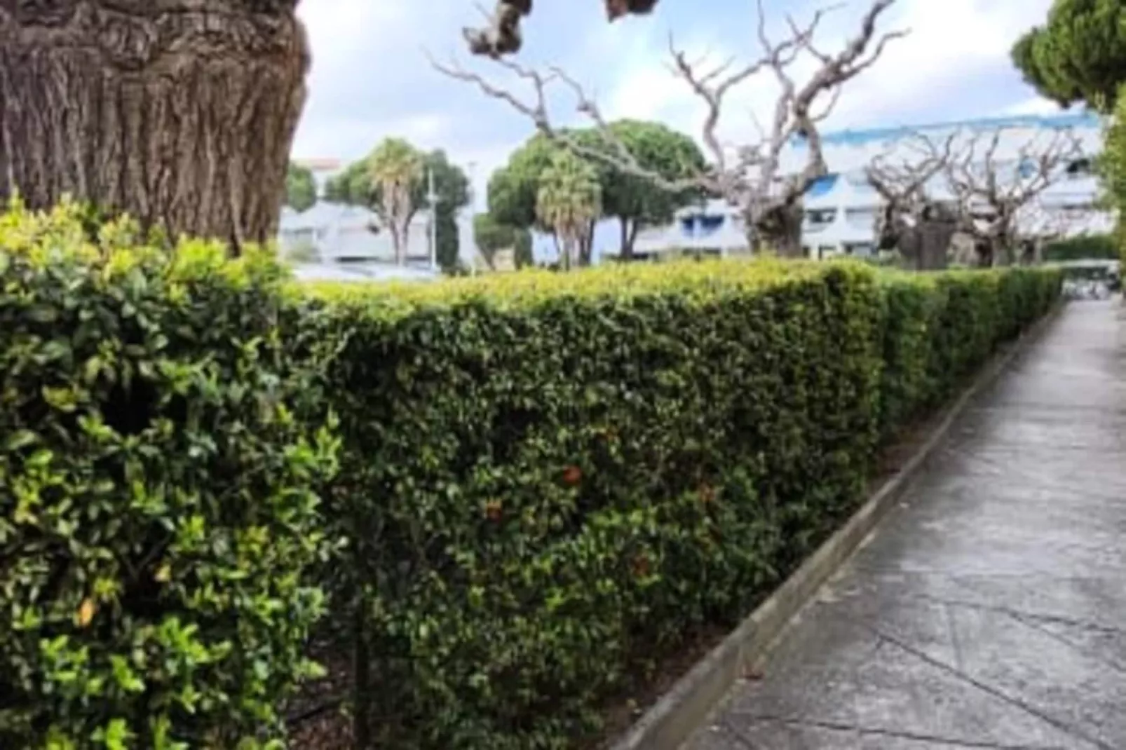 Résidence Terrasses 2 - Plage Et Commerces &agrave; 400 M-Untagged