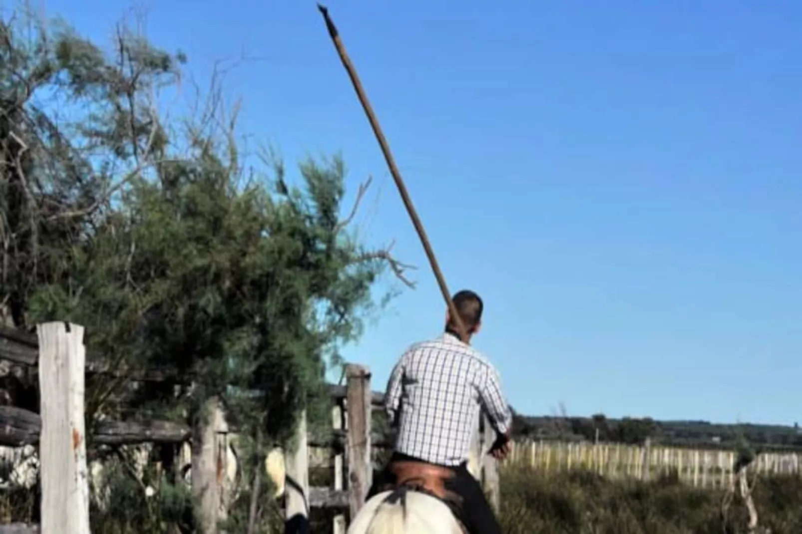 Résidence L'or&eacute;e De Camargue Studio Avec Cour-Nicht zugeordnet