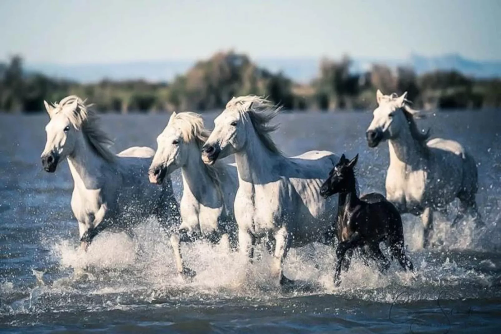 Résidence Les Jardins Du Port-Nicht zugeordnet