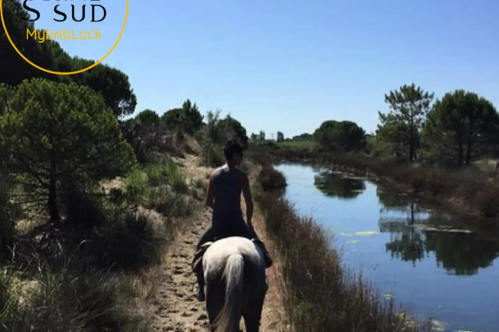 Résidence Le Reflet Des Mers - P3 Premi&egrave;re Ligne Vue Mer Et Parking-Non tagué