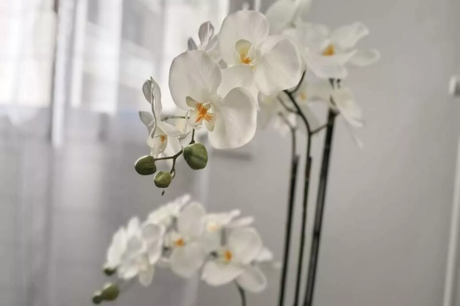 | Le Panorama 🏔️-Nicht zugeordnet