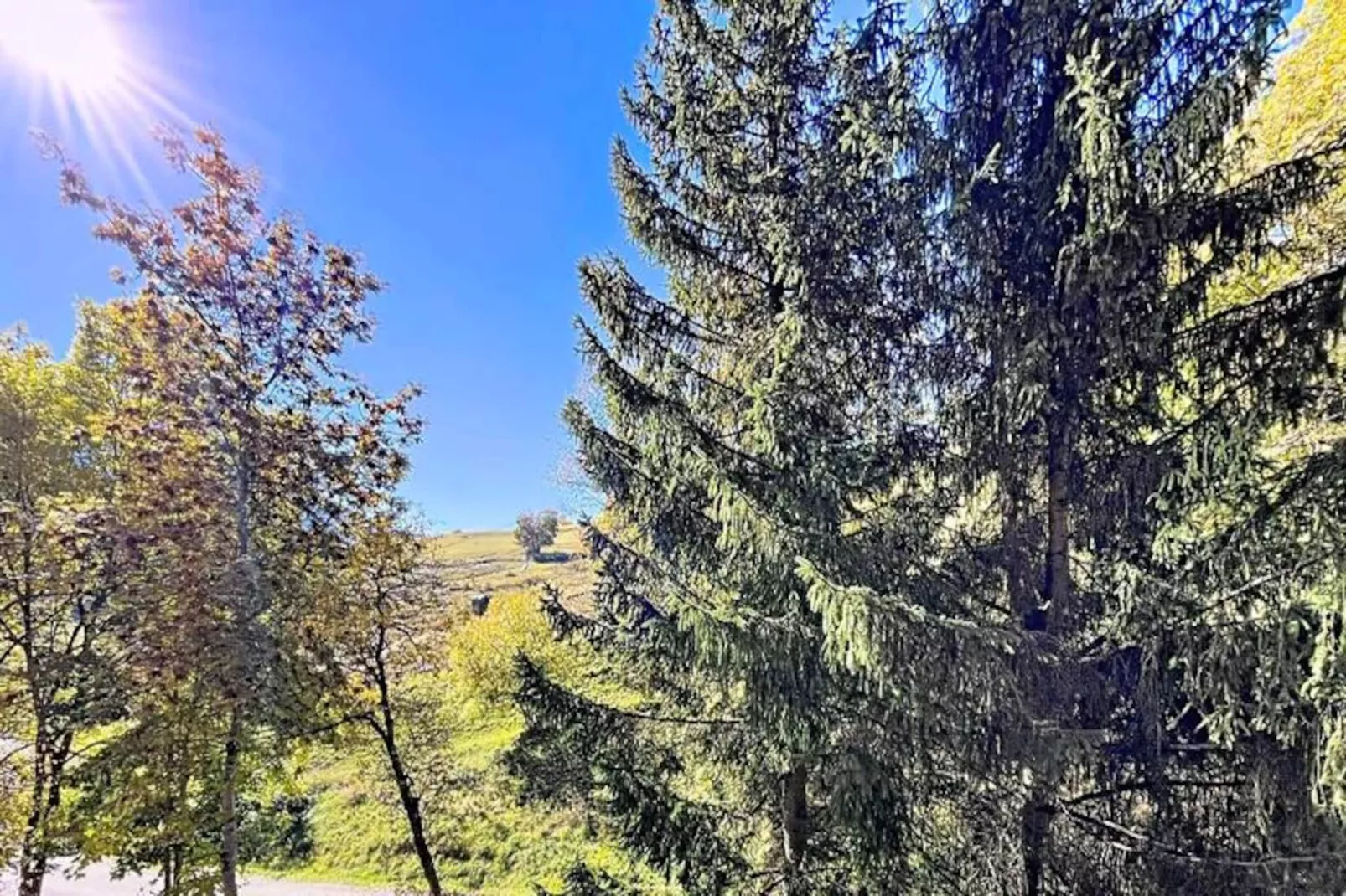 Résidence Orion-Non tagué