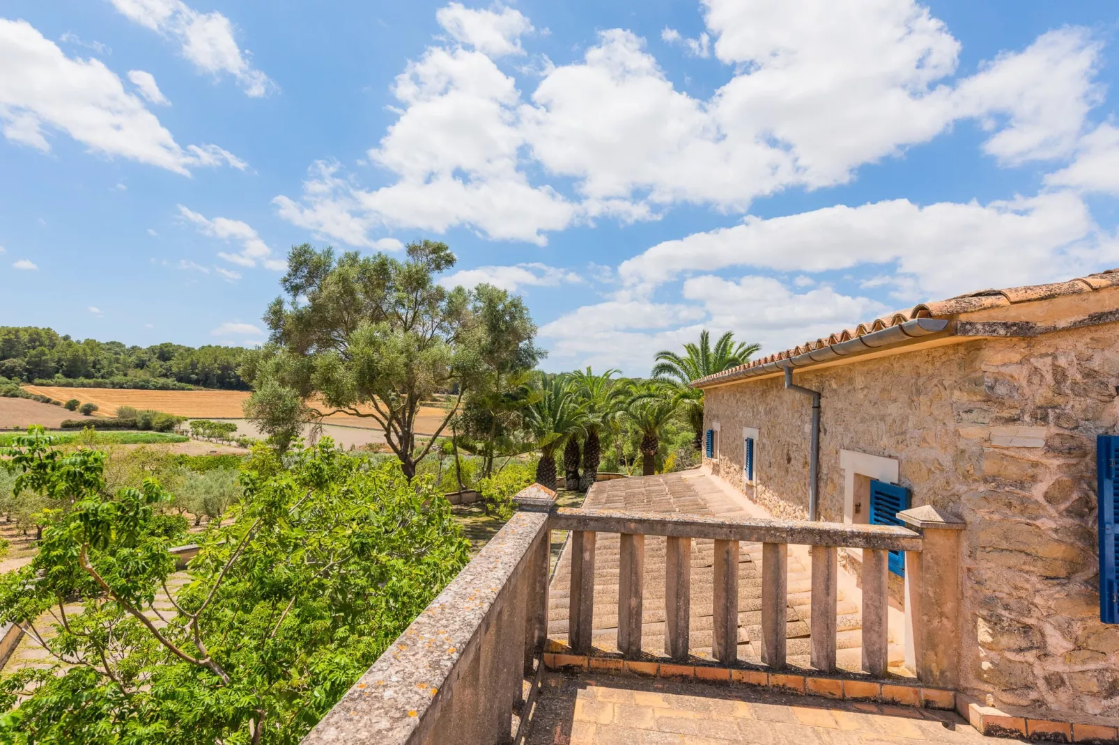 Hortella (ecofinca)-Exterior summer