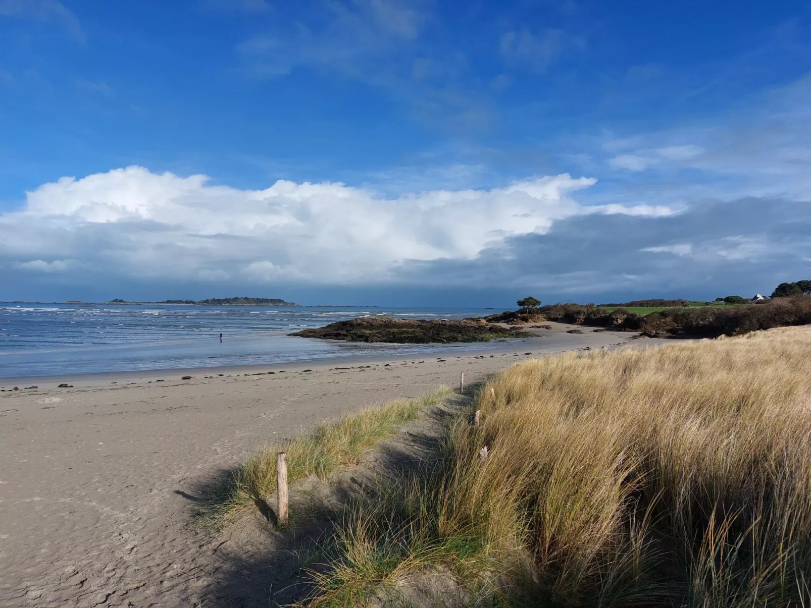 Les Oyats-Environnement