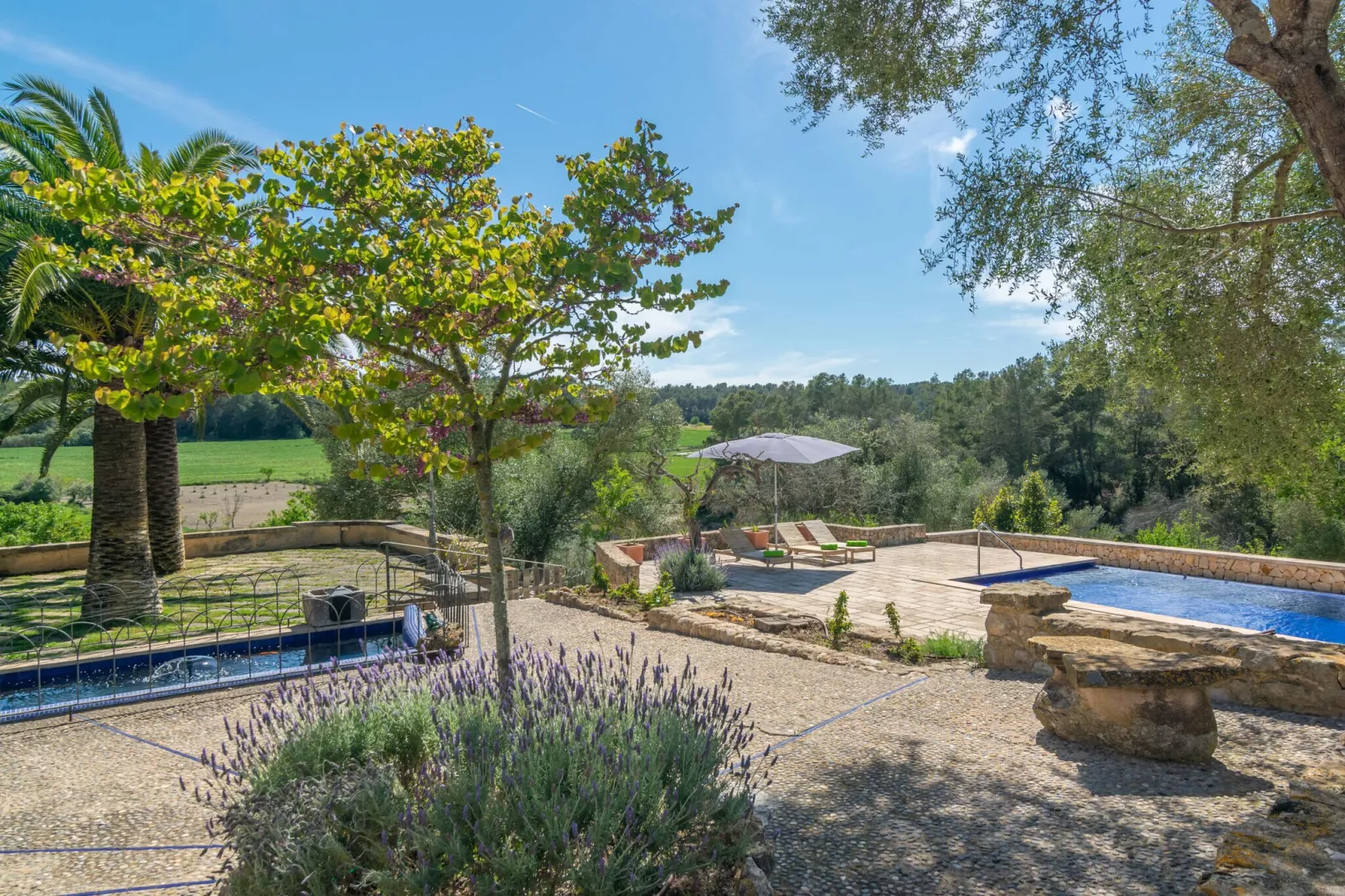 Hortella (ecofinca)-Exterior summer
