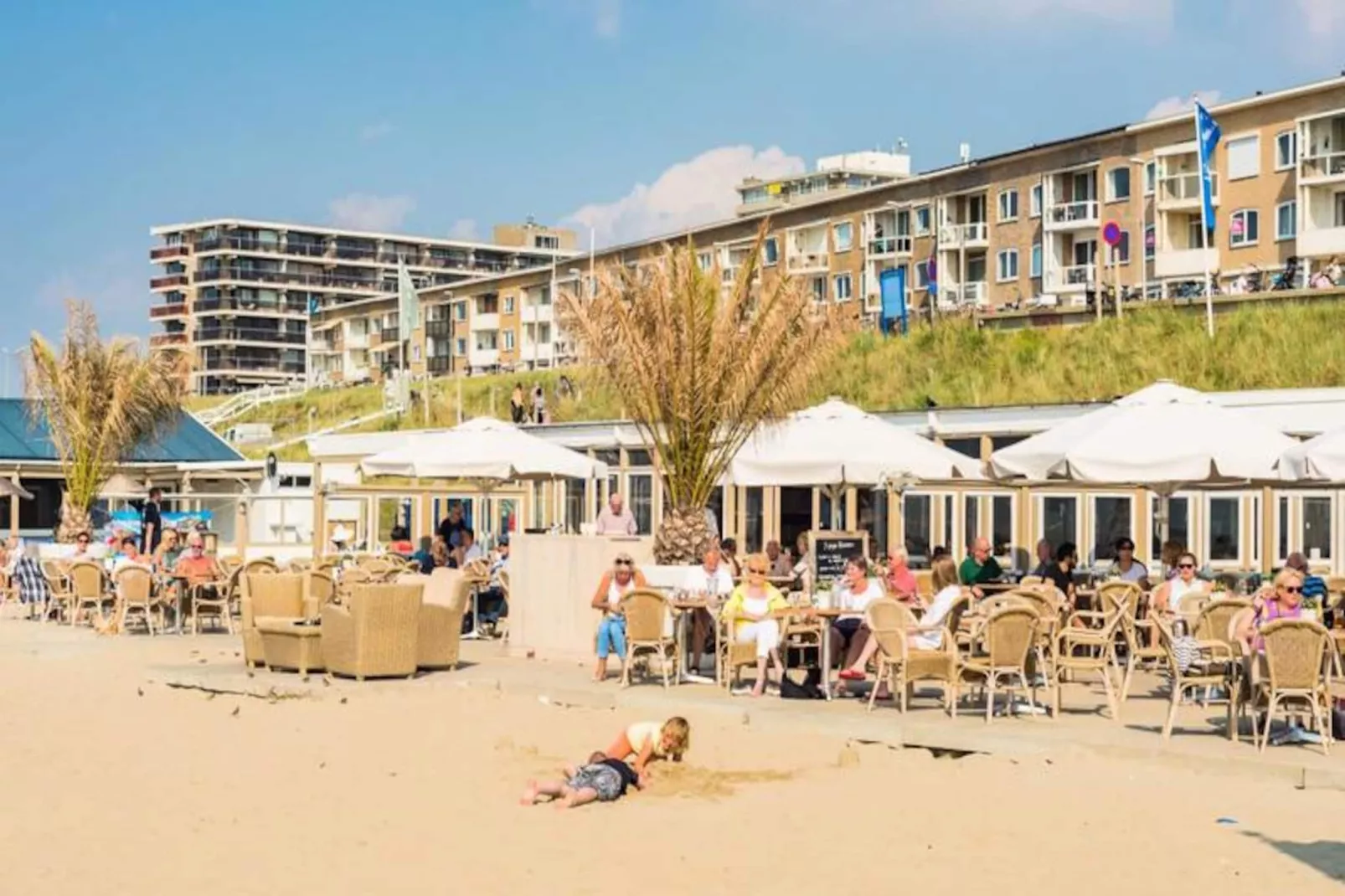 Endless Summer Beach-Nicht zugeordnet