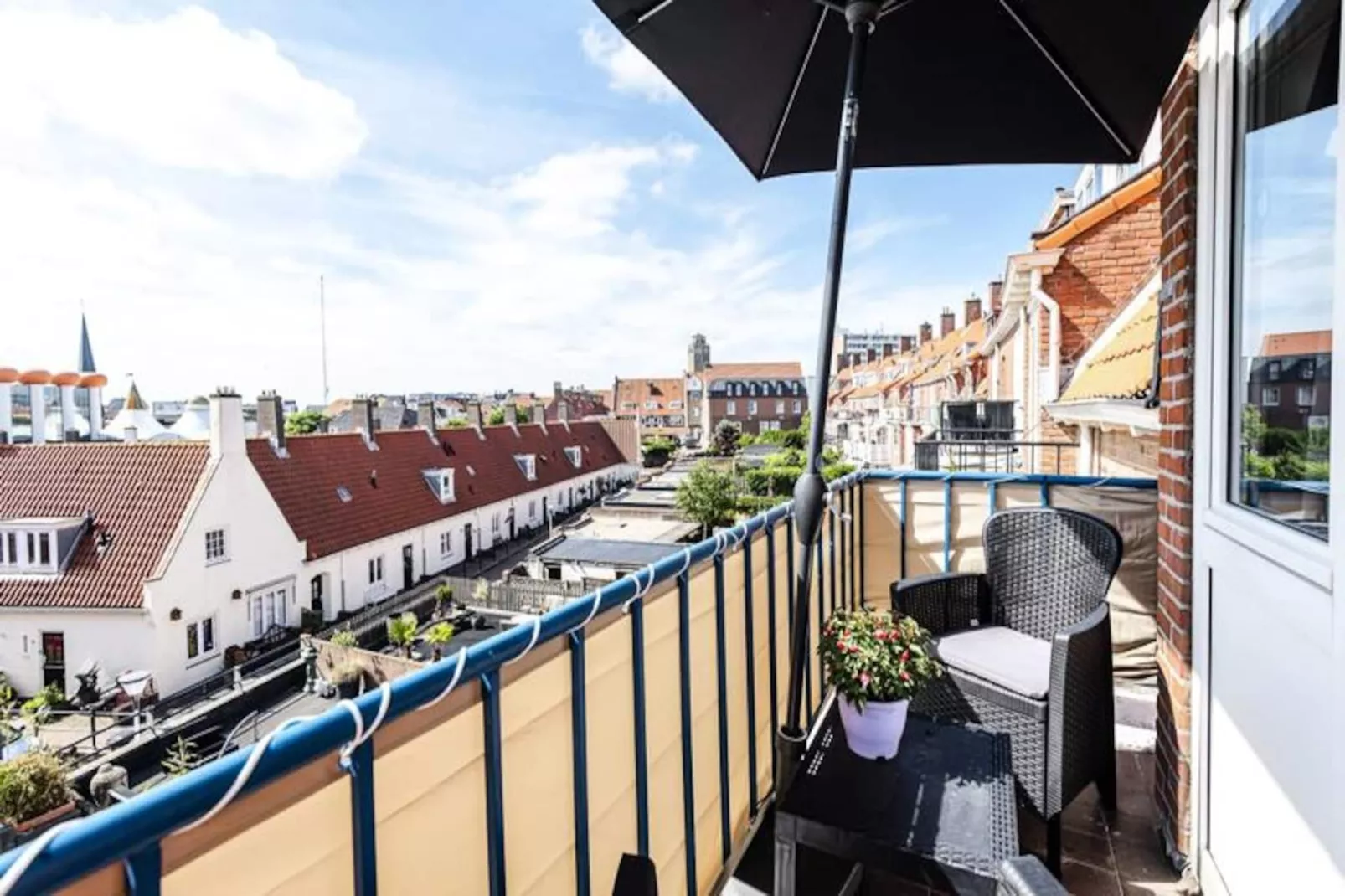 Albatros Aan Zee - Zandvoort-Non tagué