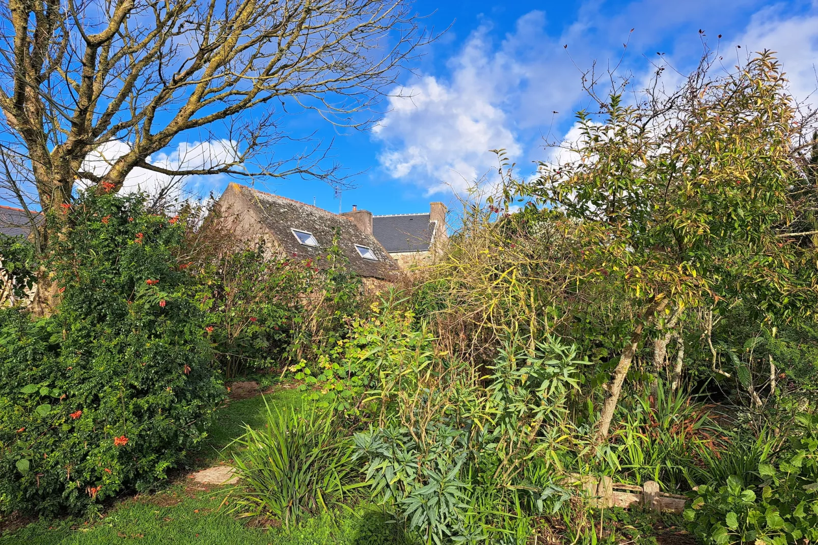 Granitsteinhaus in Guimaëc-Garden in winter