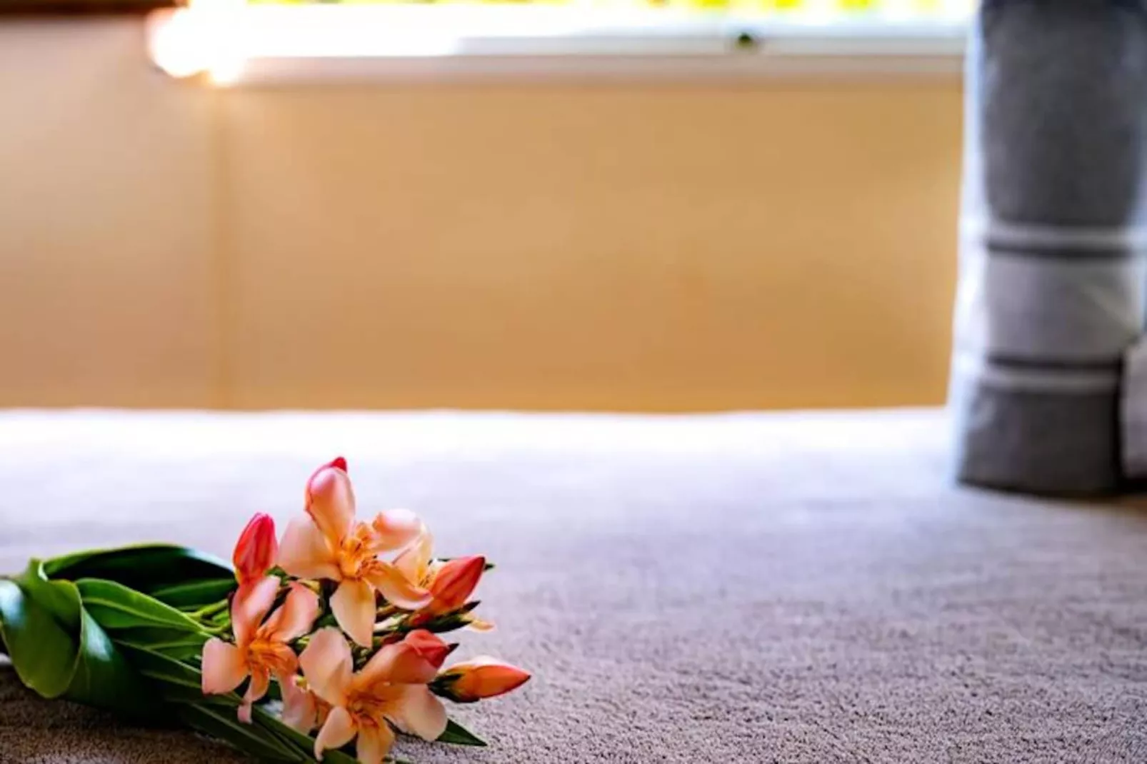 Villa Coccoloba - Non tagué