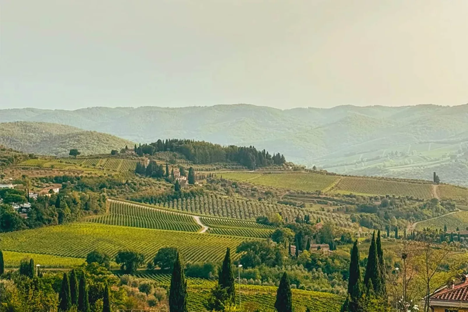 Fattoria-Gebiete Sommer 20 km