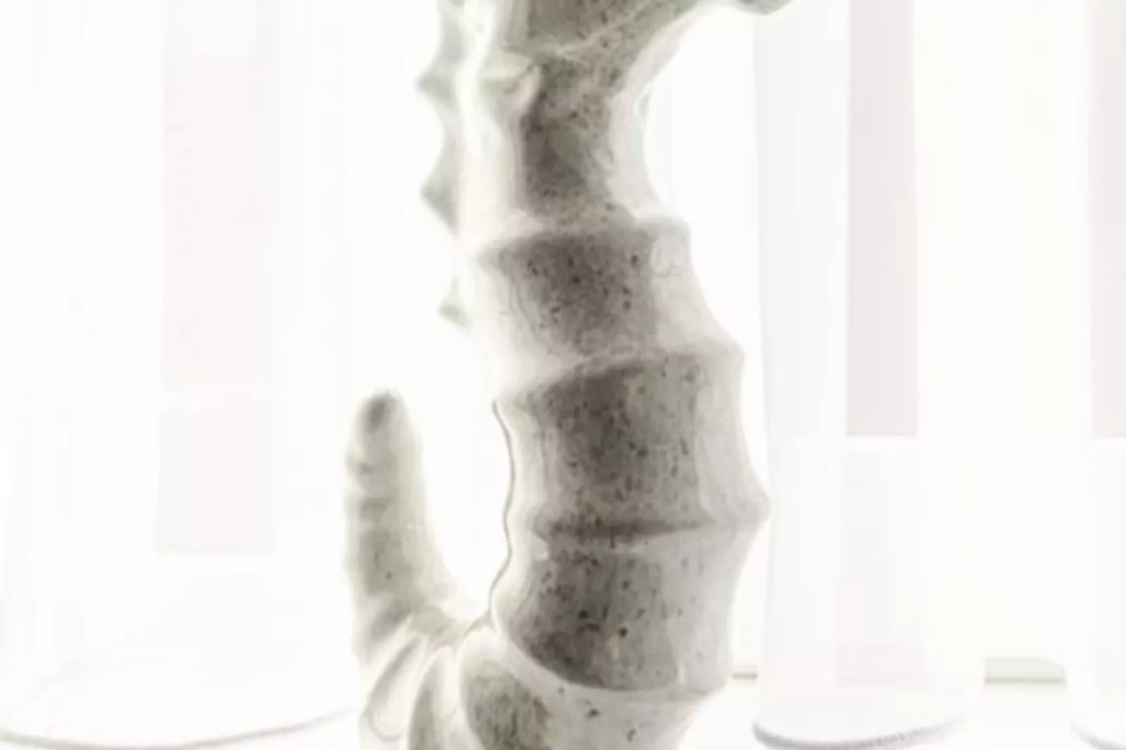 Beach And Dunes Studio-Untagged