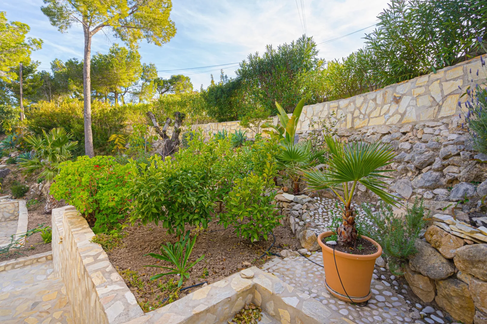 Casa Sabina-Gardens summer