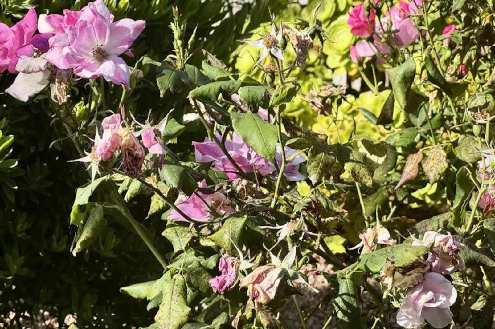 Résidence A Machja-Nicht zugeordnet