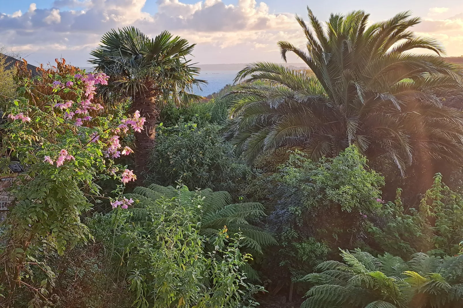 Granitsteinhaus in Guimaëc-View in winter