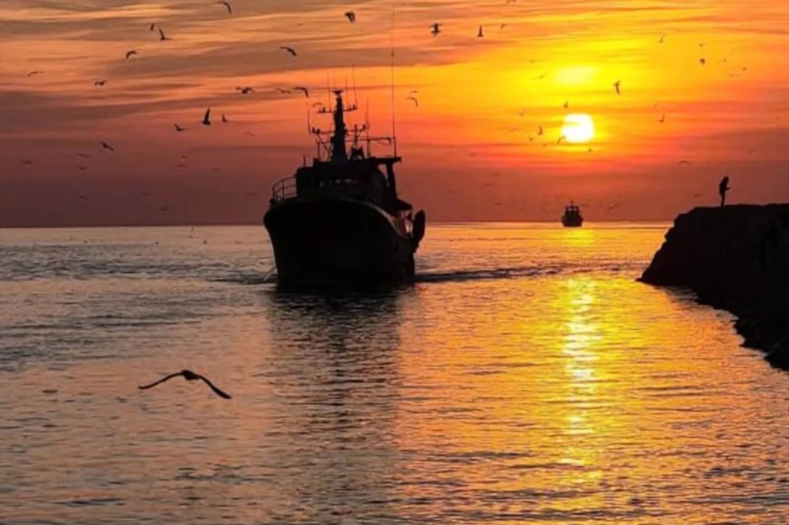 Résidence Tellines - Appartement  Avec Petite Vue Mer-Untagged