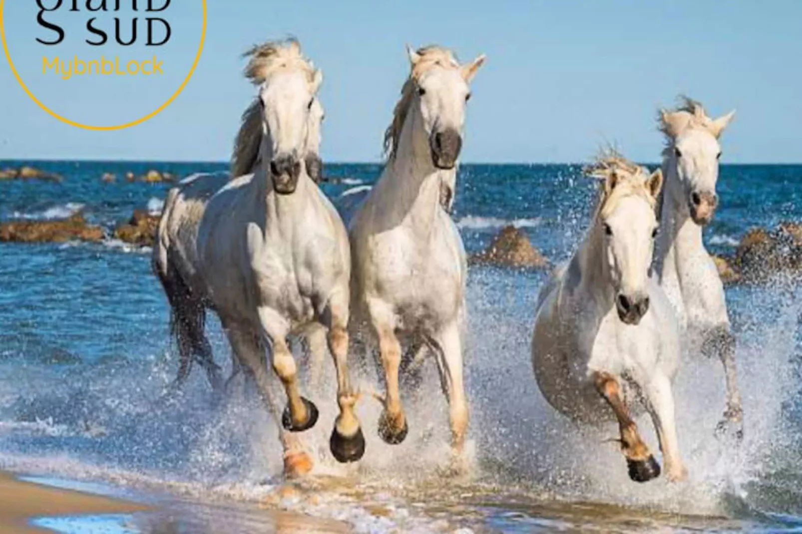 Résidence Le Reflet Des Mers - P3 Premi&egrave;re Ligne Vue Mer Et Parking-Non tagué