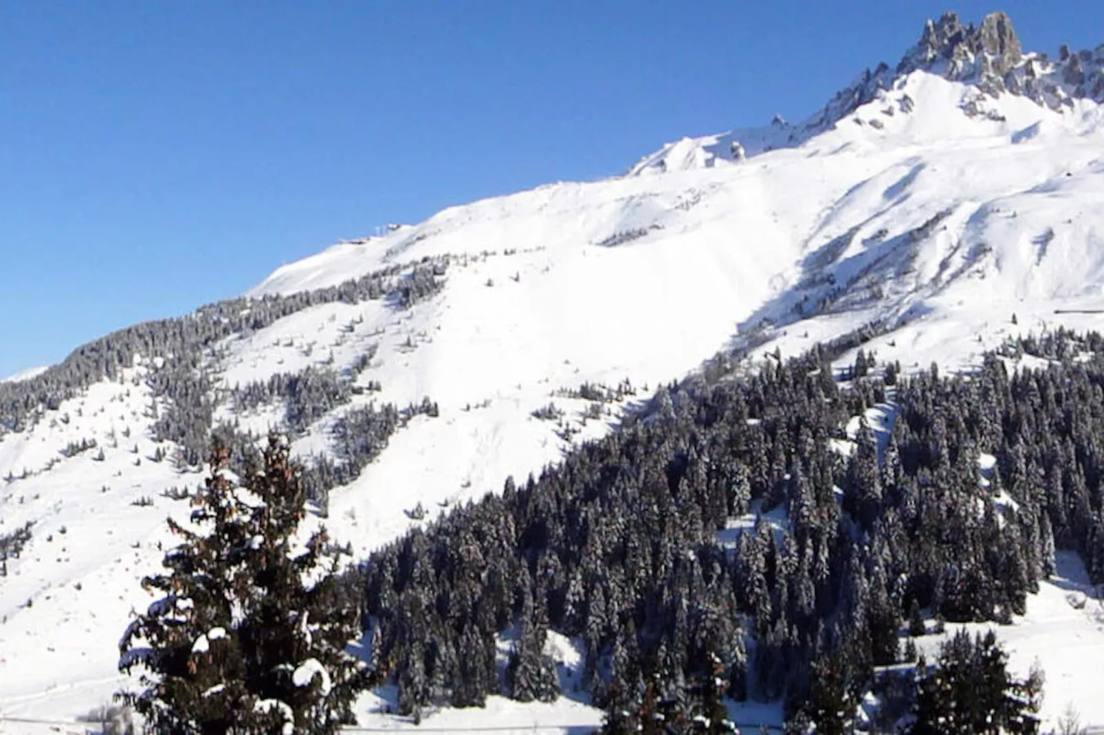 Résidence Asphodeles-Untagged