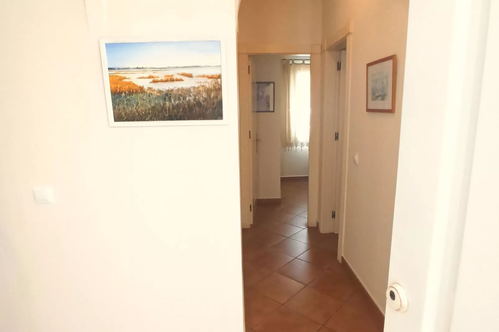 Apartamento pasito Blanco-Landing