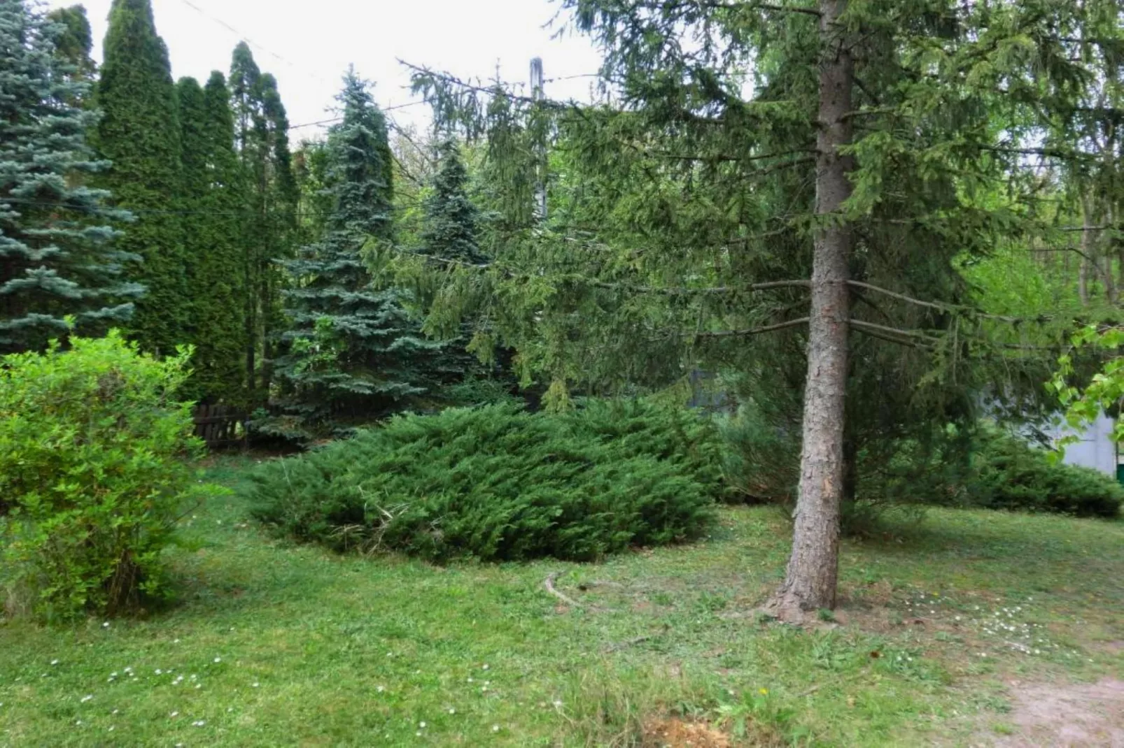 Ferienhaus Donauknie-Gardens in summer
