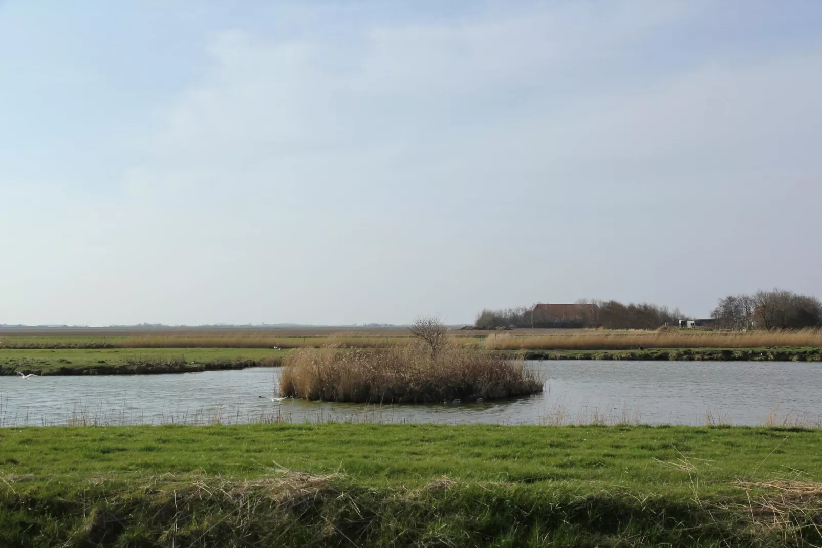 De Witte Parel-Gebiete Sommer 5 km