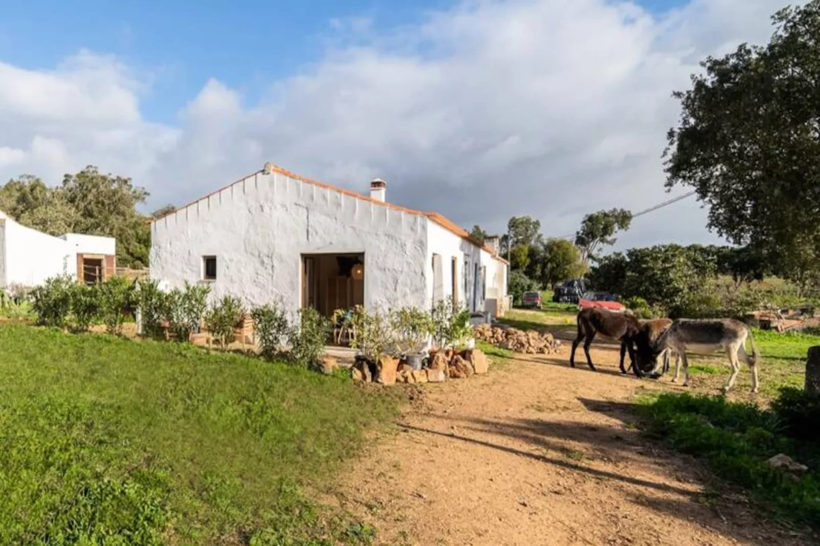 Casinha Da Paz-Untagged