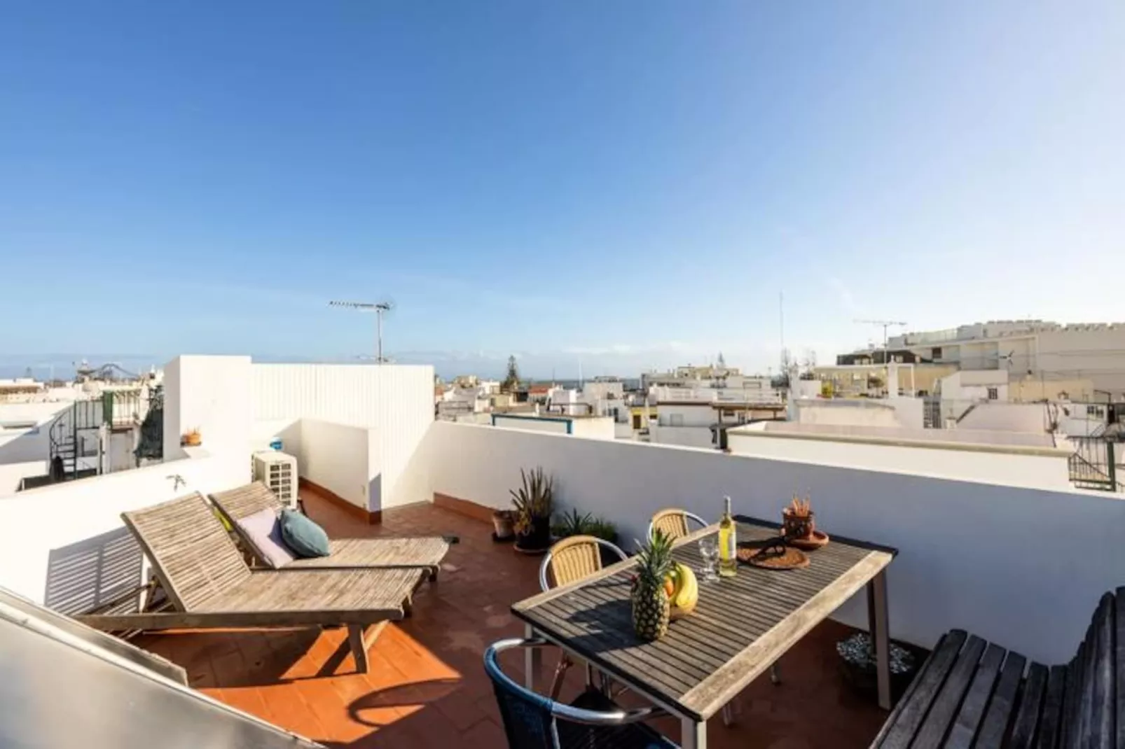 Perdiz Do Mar - Culatra-Untagged