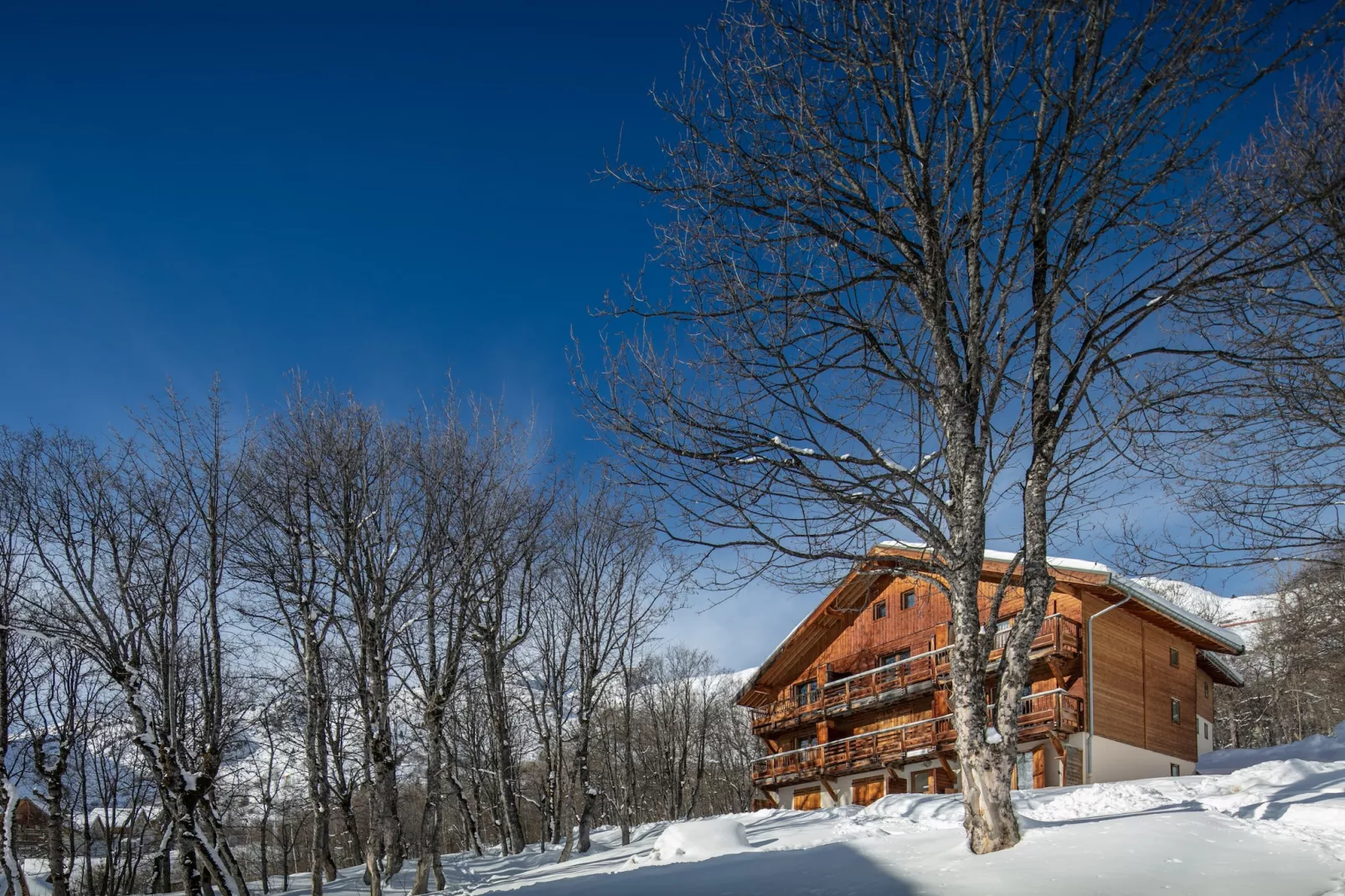 Les Grizzlis N°21 - 2P6 - Area within 5km in winter
