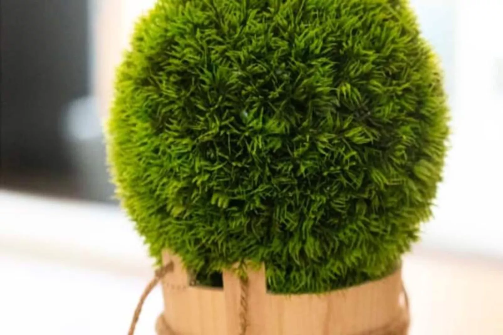 06k2 - Joli Studio Climatisé - Terrasse Vue Mer-Nicht zugeordnet