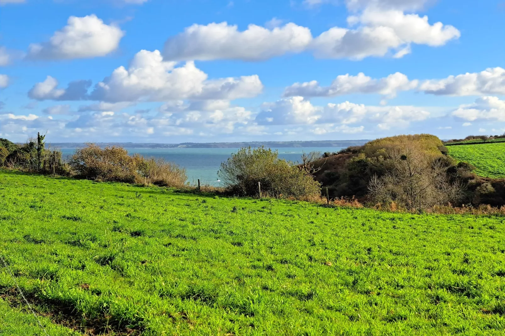 Granitsteinhaus in Guimaëc-Area within 1km in winter