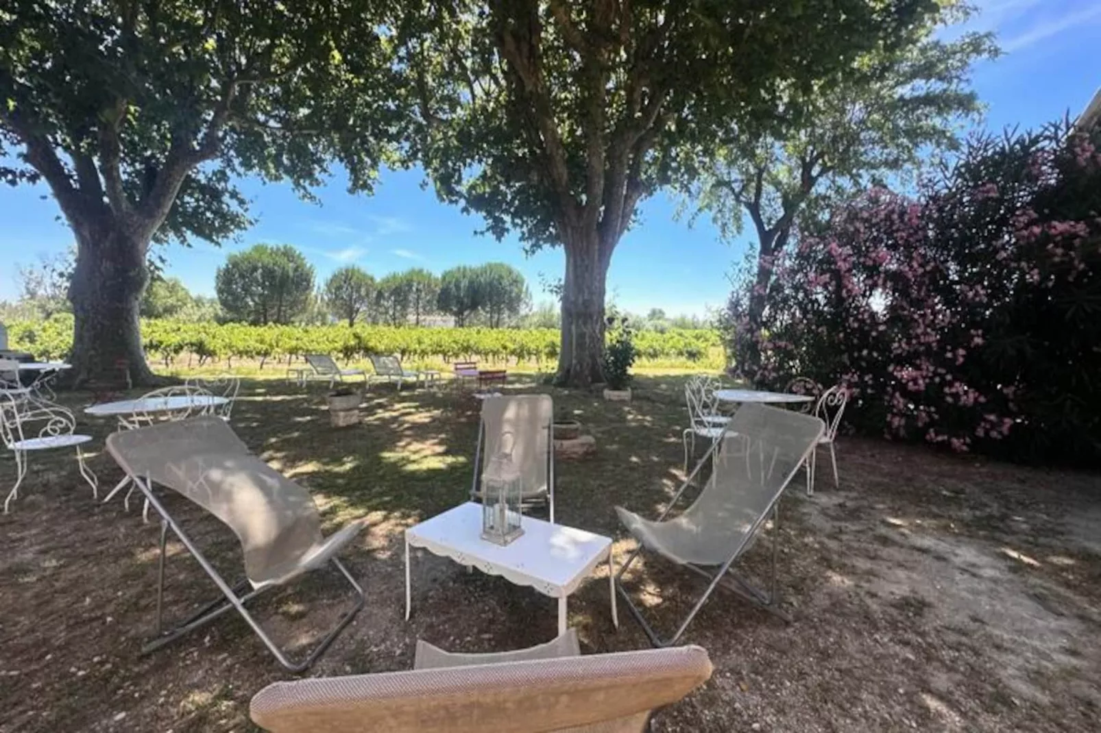 Résidence G&icirc;te Du Mas - Charmant G&icirc;te Proven&ccedil;al Avec Jardin Commun-Untagged
