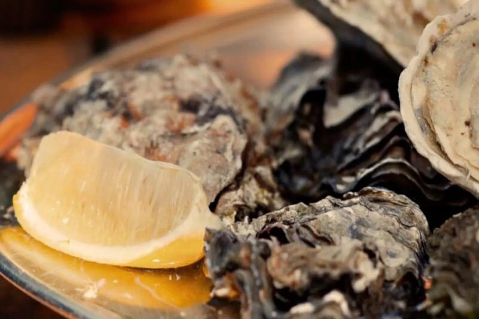 Résidence La Mimosette: Joli Appartement 1 Chambre Tout Confort Proche De La Plage-Non tagué