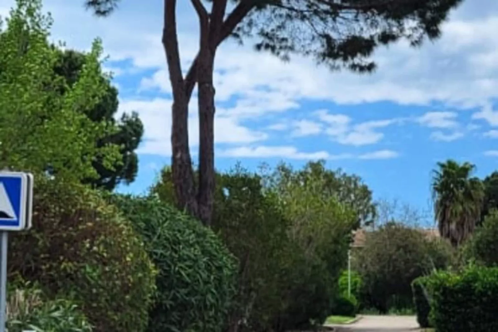 Résidence La Fr&eacute;gate Centre Ville Et Plage-Non tagué