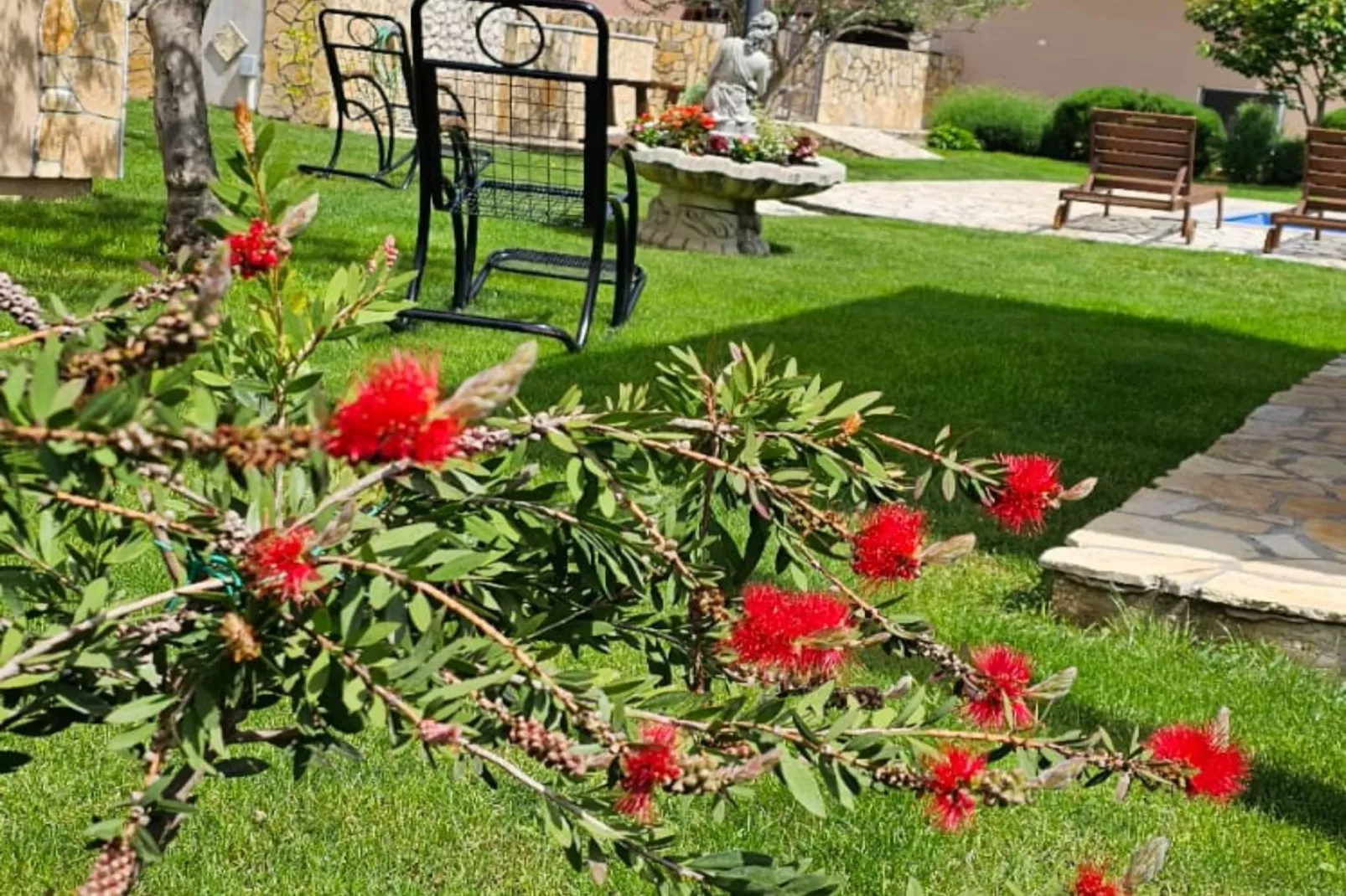 Villa Popovića Dvori -  Six Bedroom Villa with Pool-Non tagué