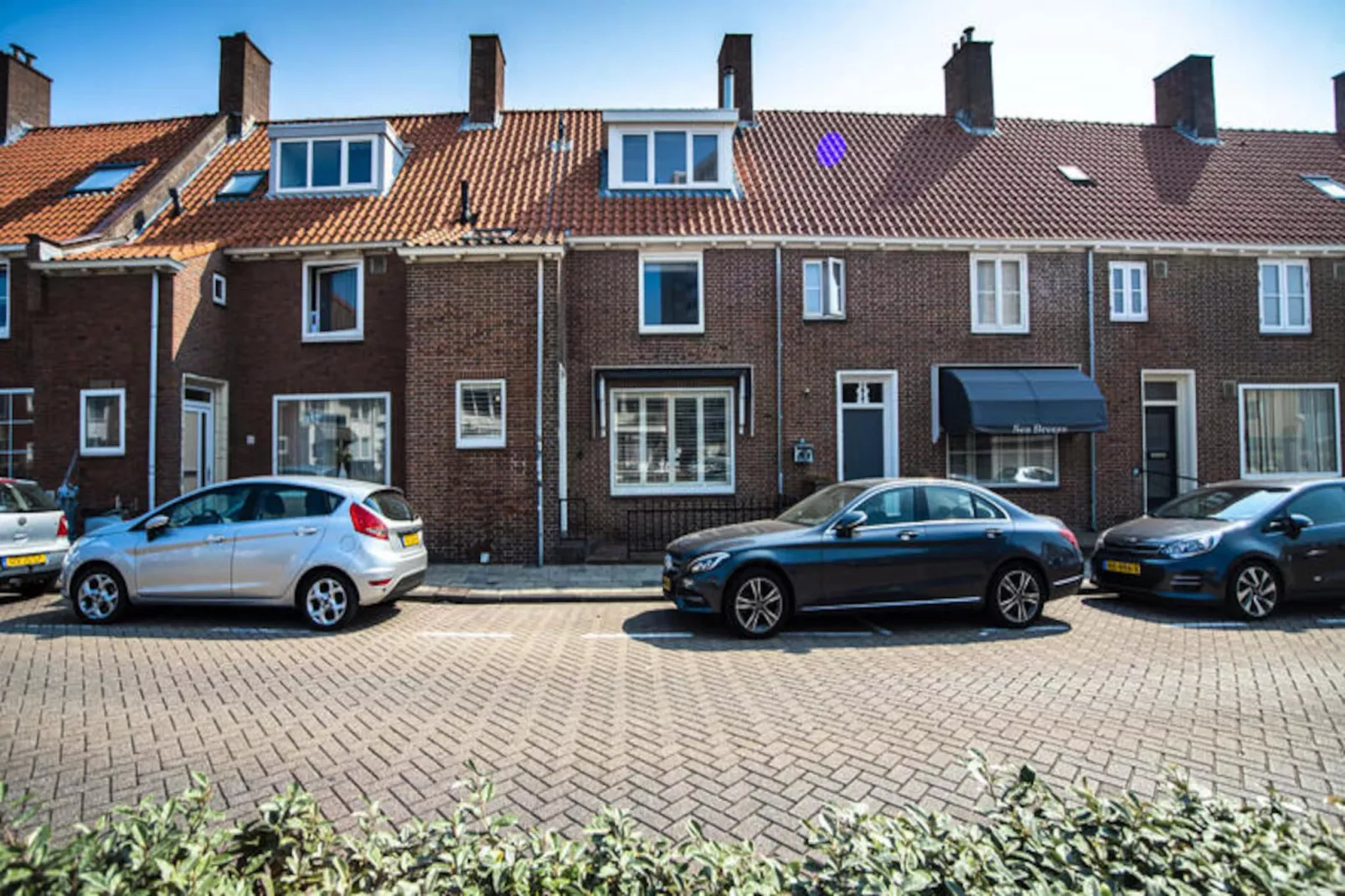 Bamboa Studio-Non tagué