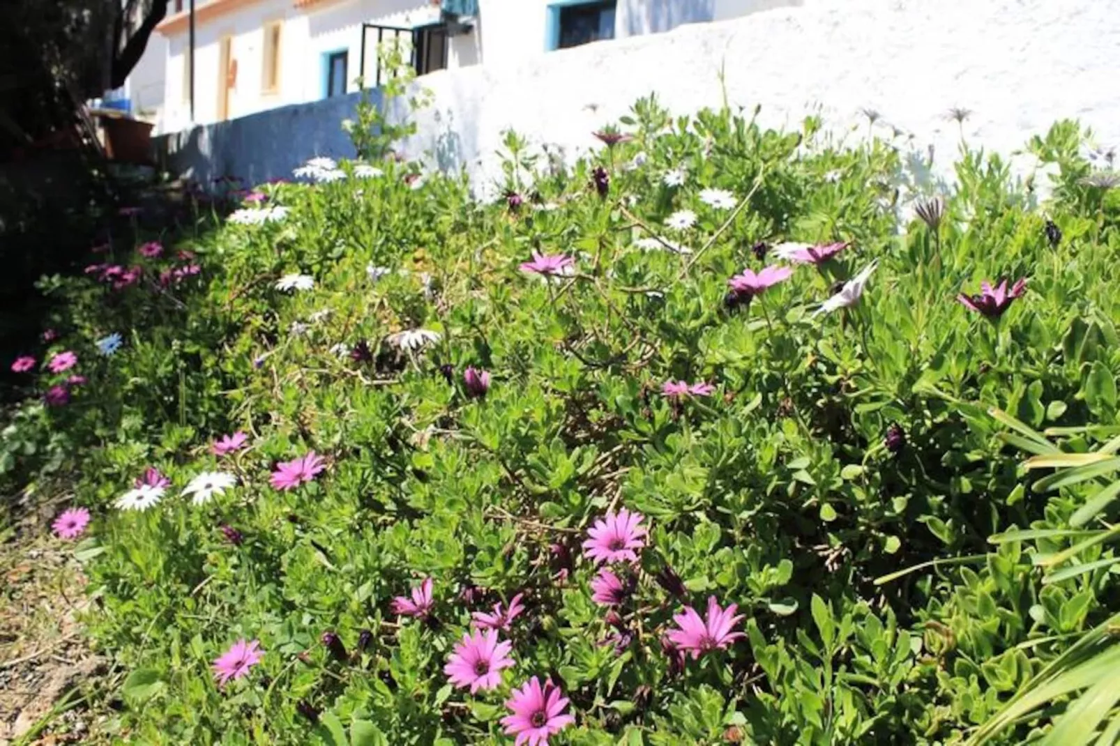 Cottage Aljezur Town-Nicht zugeordnet