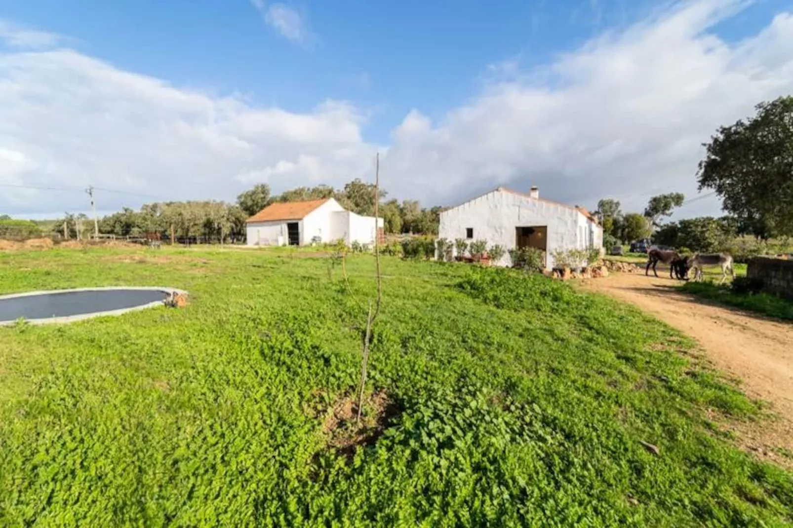 Casinha Da Paz-Untagged