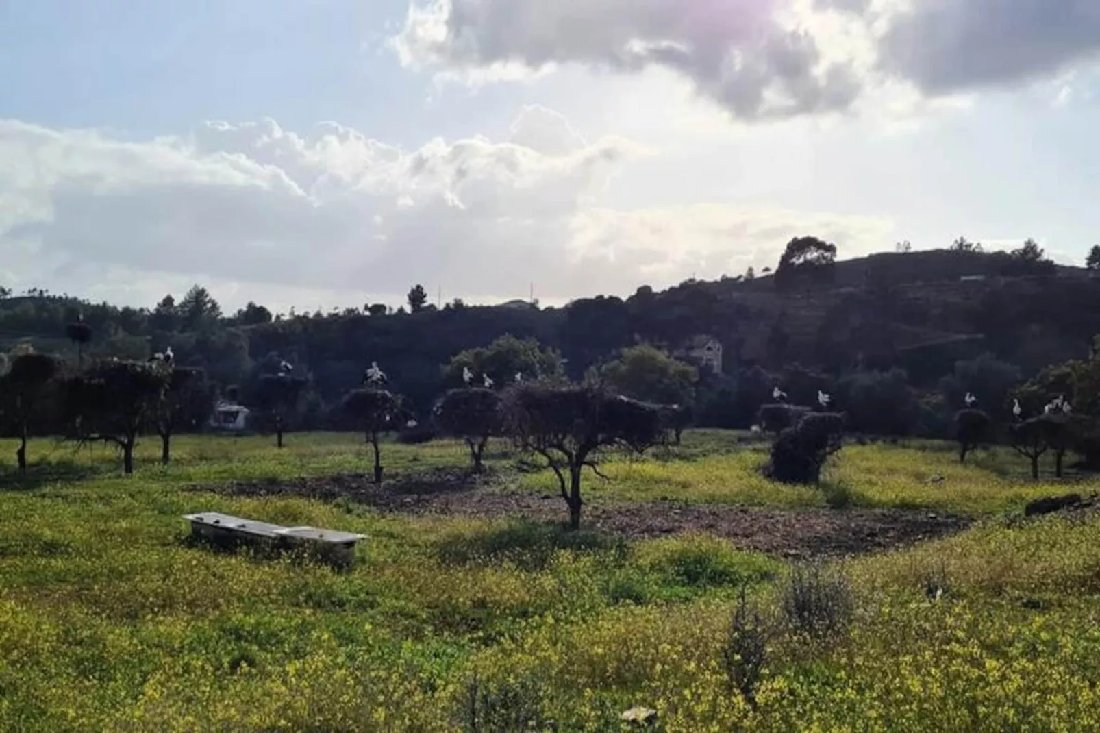 Vista Bonita-Non tagué