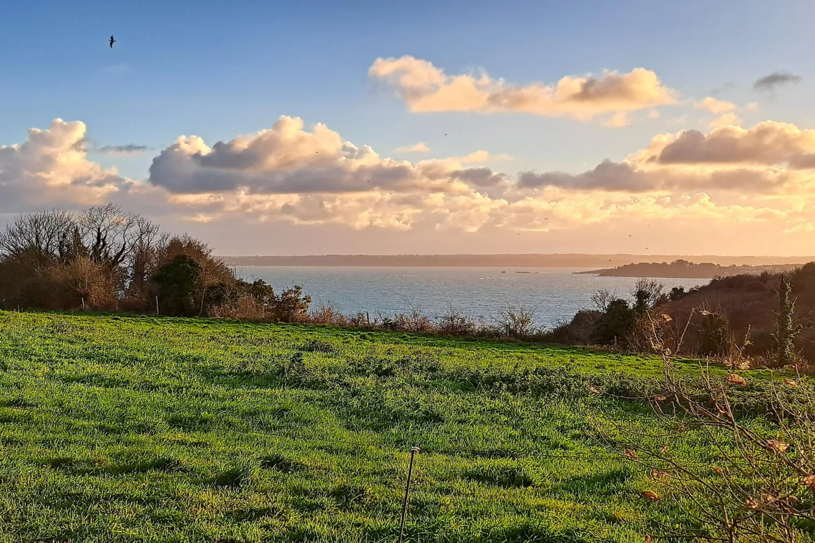 Granitsteinhaus in Guimaëc-Outdoor