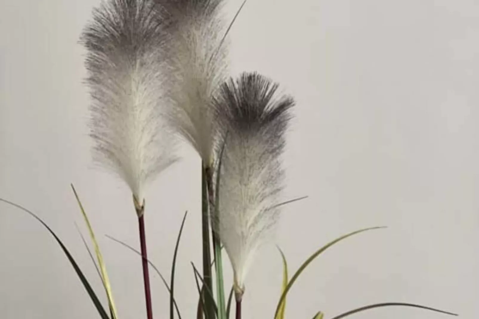 Résidence Villa Marie 2: Appartement Tout Confort Climatis&eacute; 1 Chambre Proche Plage-Non tagué