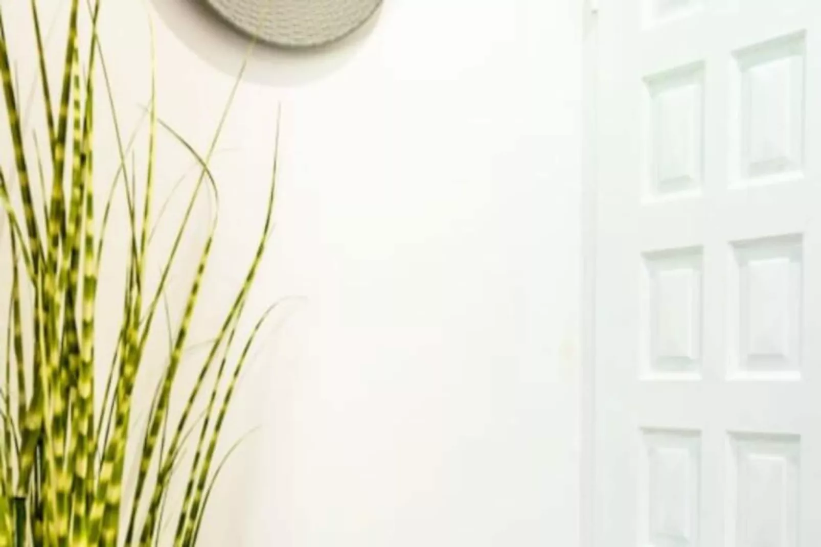 Villa Moca - Non tagué