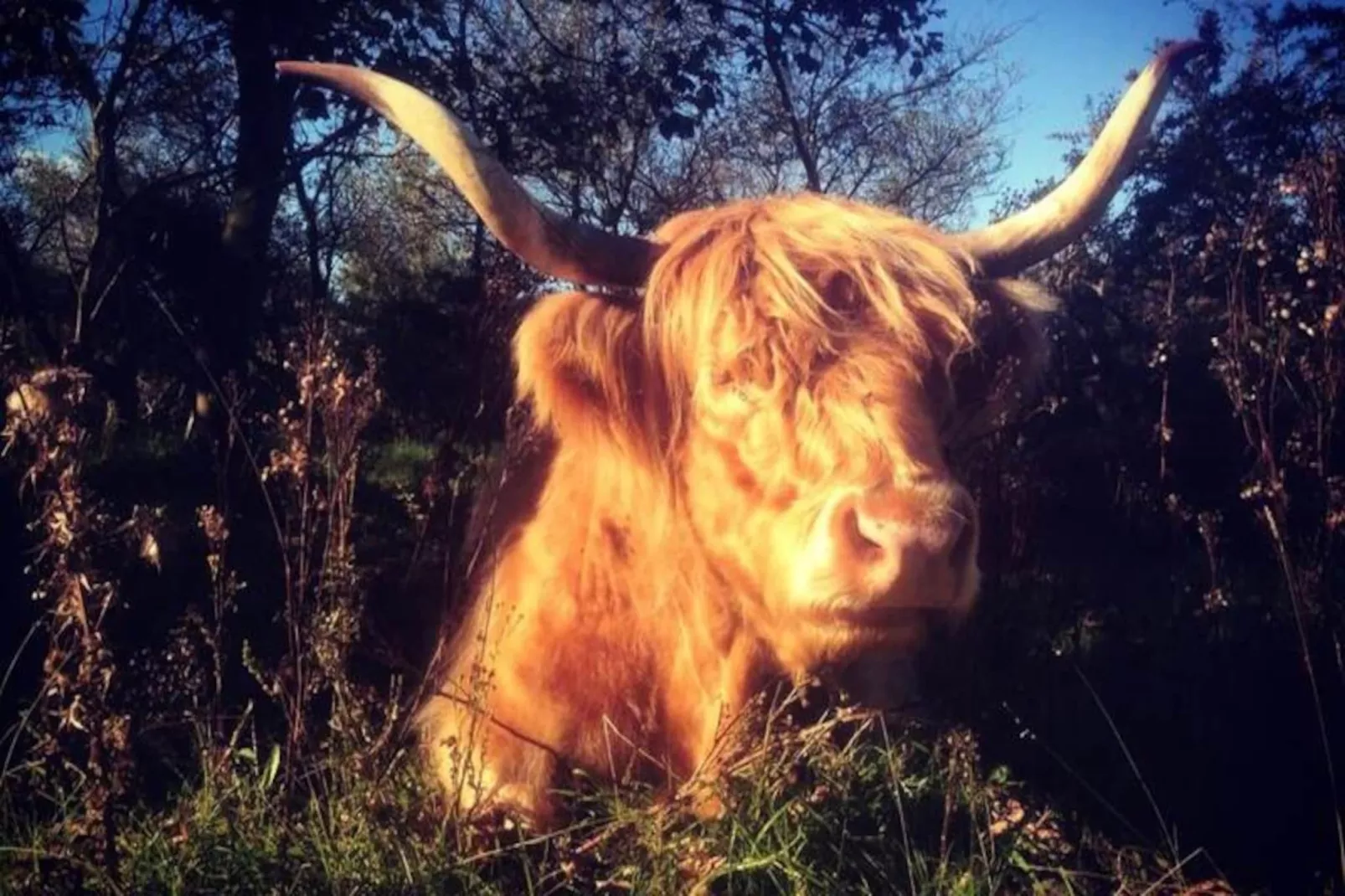 Cute Beach House-Non tagué