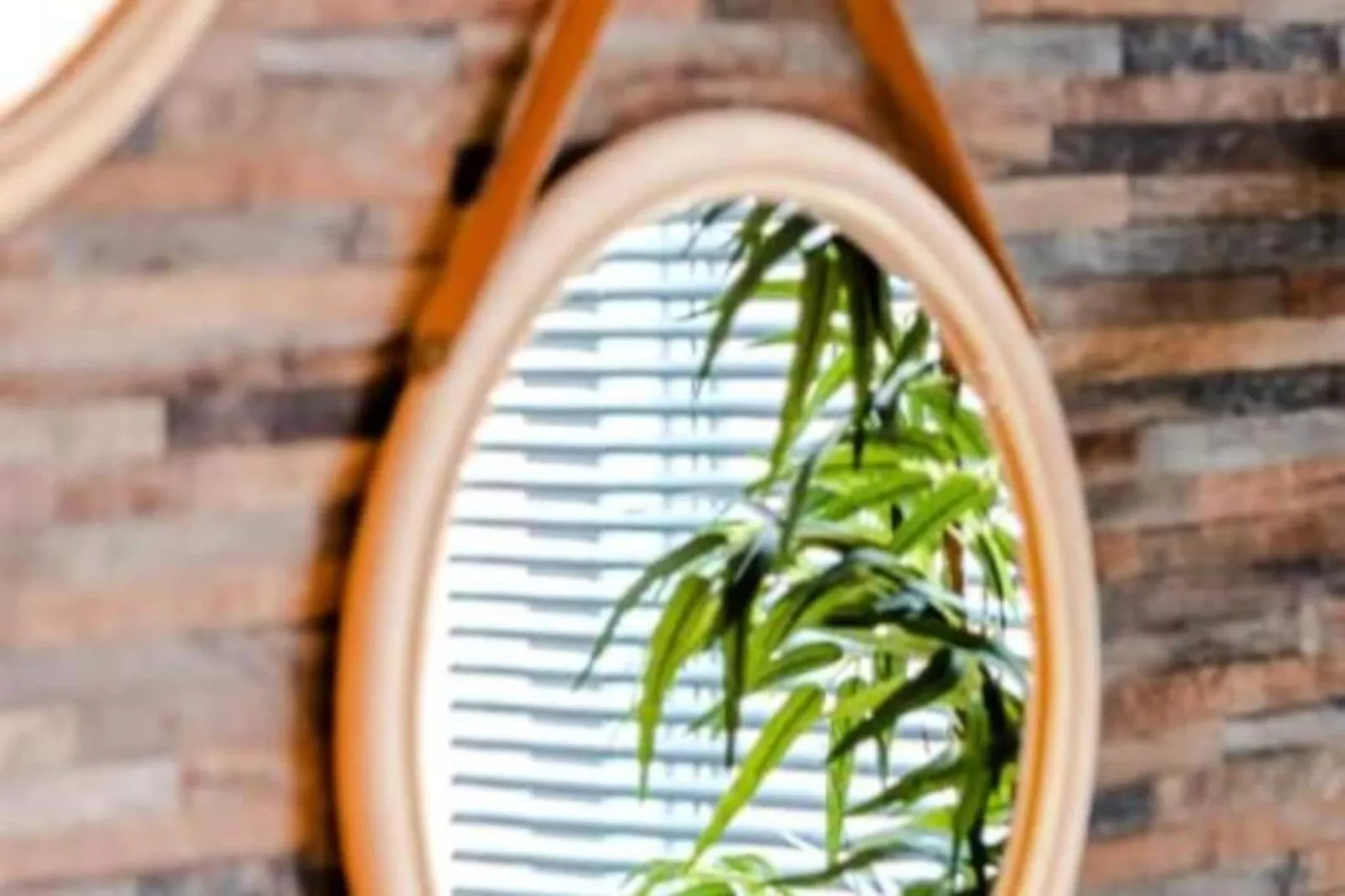 Oasis Zandvoort - Parking Gratuit-Non tagué